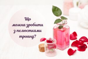 Що зробити з пелюстками троянд: ароматична вода, скраб і не тільки