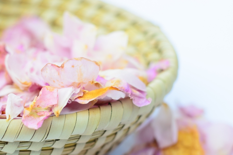 Що зробити з пелюстками троянд