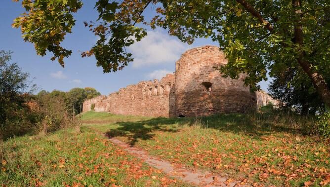 Микулинецький замок