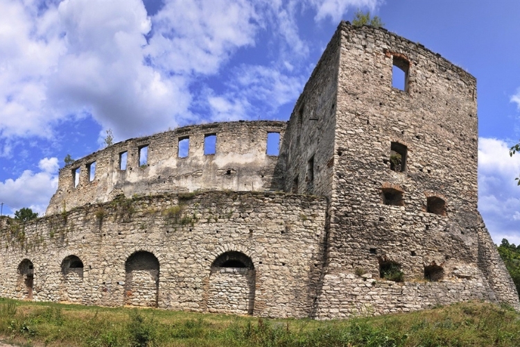 Чортківський замок, Замки Тернопільщини