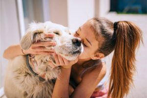 Найкращі породи собак для дітей: якого улюбленця обрати