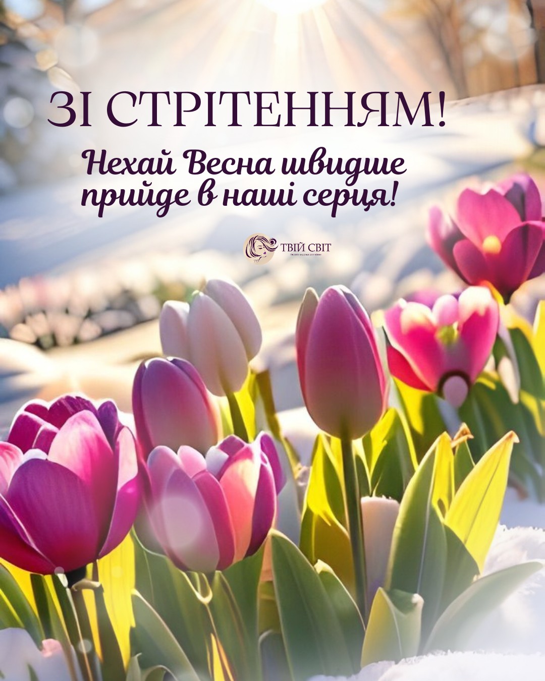 Стрітення картинки