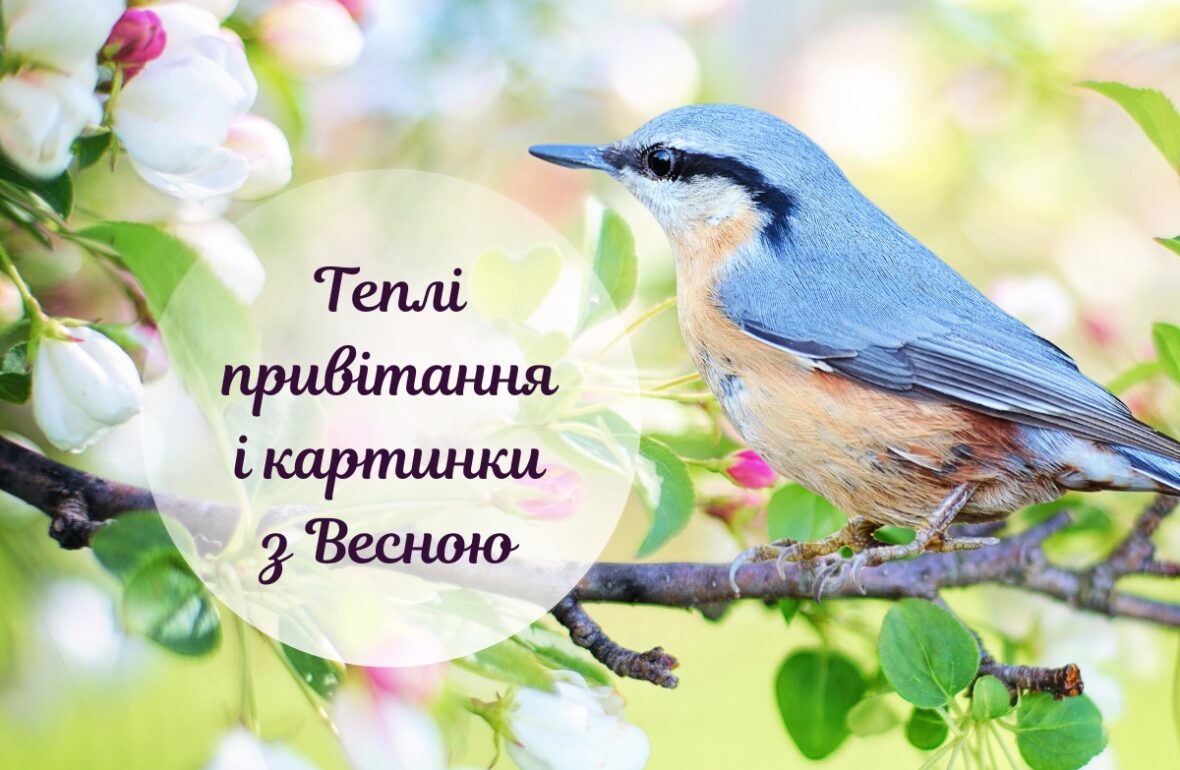 Картинки про весну, весна картинки