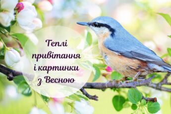 Картинки про весну, весна картинки