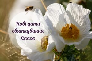Якого числа Спаса? Медовий, Яблучний та Горіховий Спаси за новим календарем