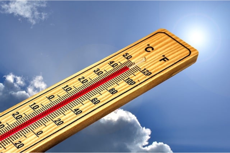 спека, як пережити спеку