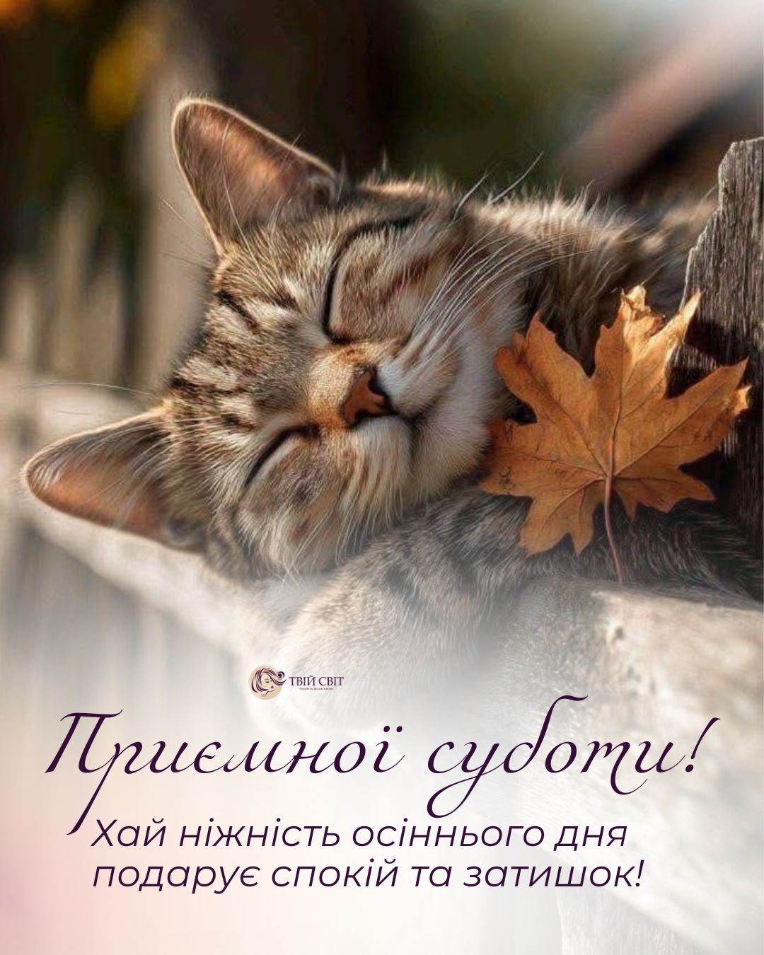 доброго ранку субота, осінь, картинки