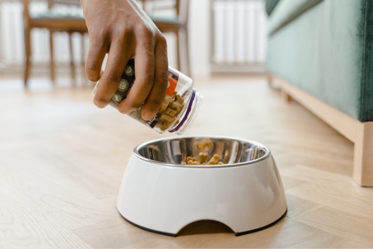 собачий корм