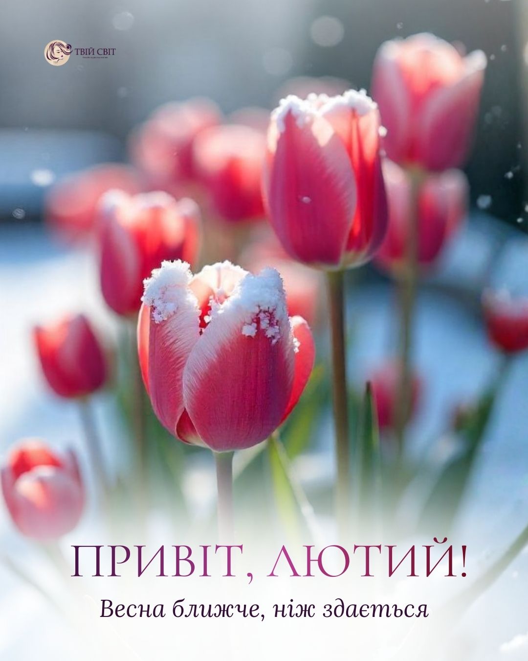 привіт, лютий, доброго ранку лютий, лютий картинки