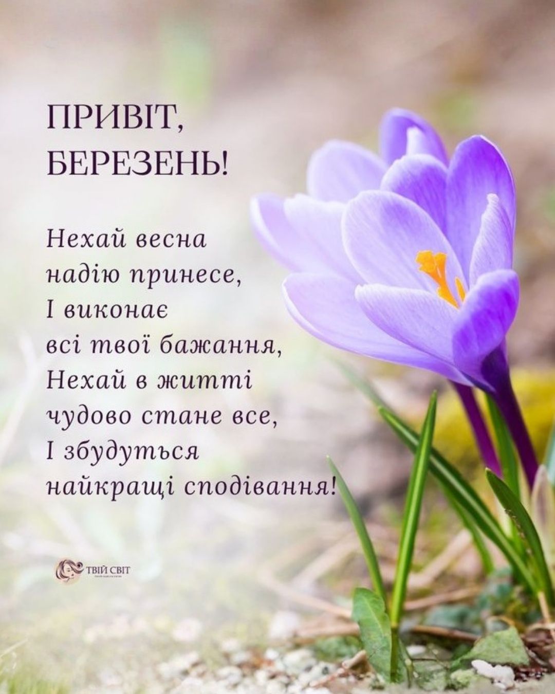 картинки з першим днем весни, весна картинки, картинки з весною, березень