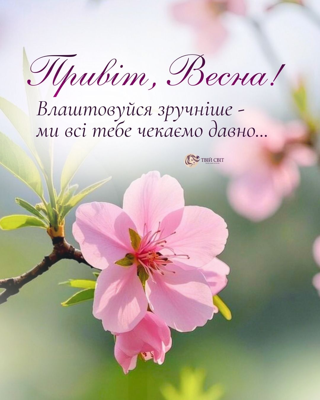 картинки з першим днем весни, весна картинки, картинки з весною