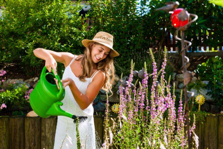 садівництво