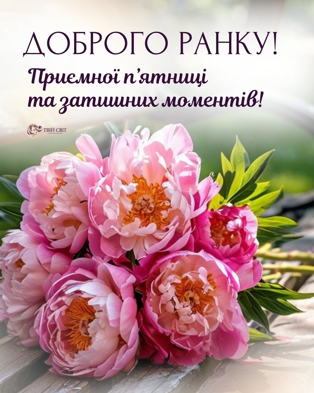 доброго весняного ранку, доброго ранку гарного дня картинки весна, доброго ранку чудового дня картинки весна, весна, картинки доброго ранку, доброго весняного ранку, доброго ранку п'ятниця весна, доброго ранку гарного дня, п'ятниця, весна, картинки, доброго весняного ранку