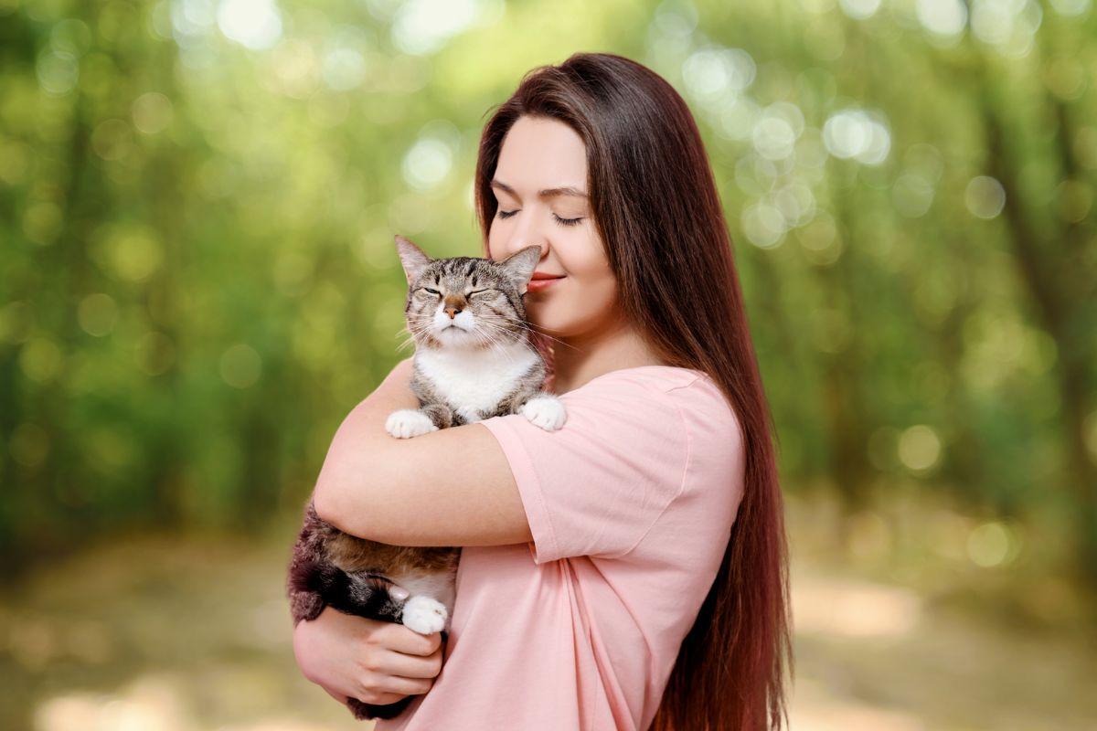 AnimAll для котів: якість, яку можна дозволити собі щодня