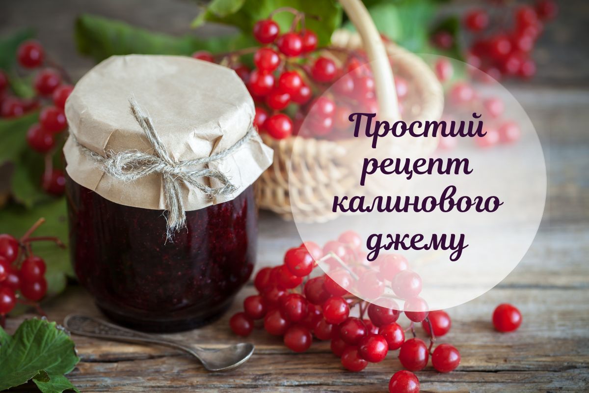 Калина на зиму з цукром: найпростіший спосіб заготівлі