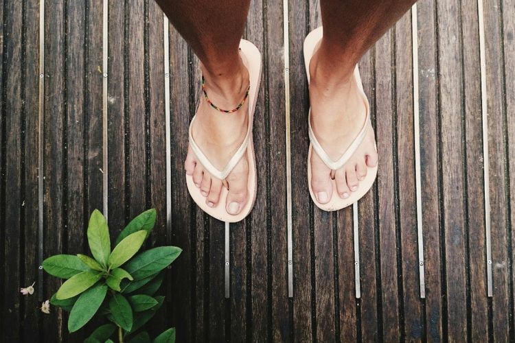 жіночі шльопанці