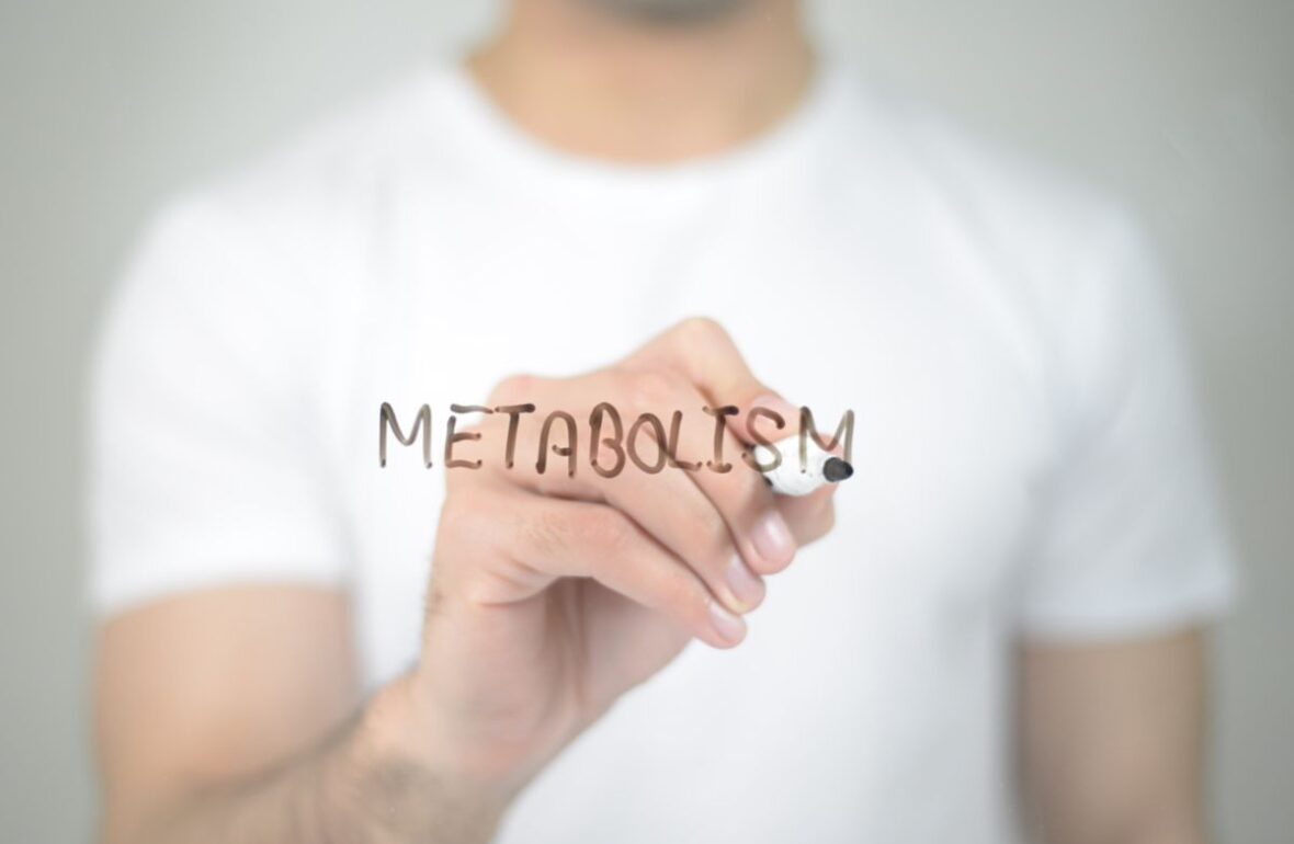 метаболізм