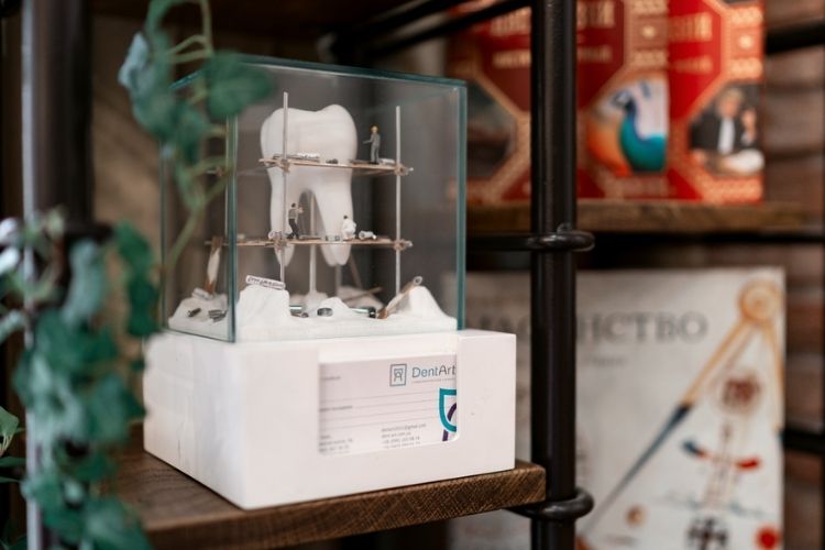 стоматологія Dent-Art