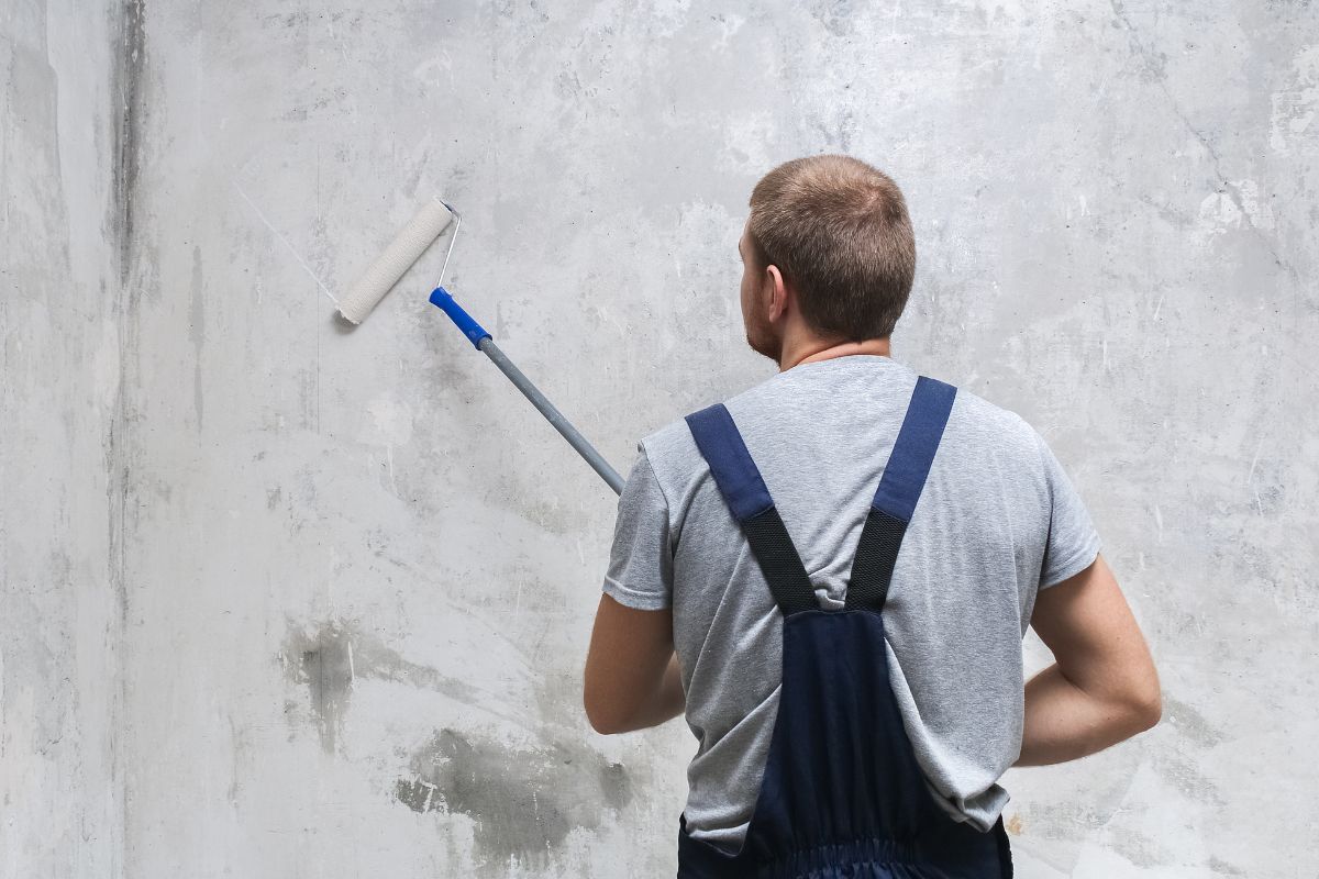 Яка потрібна ґрунтовка для стін: види та особливості нанесення