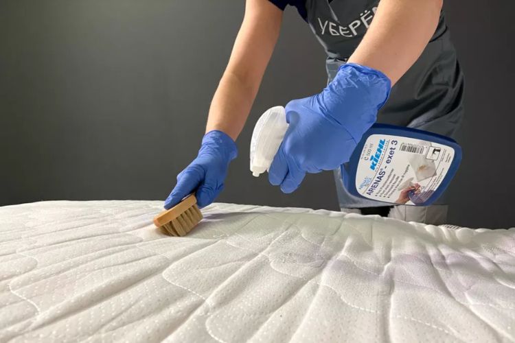 професійна хімчистка матраців