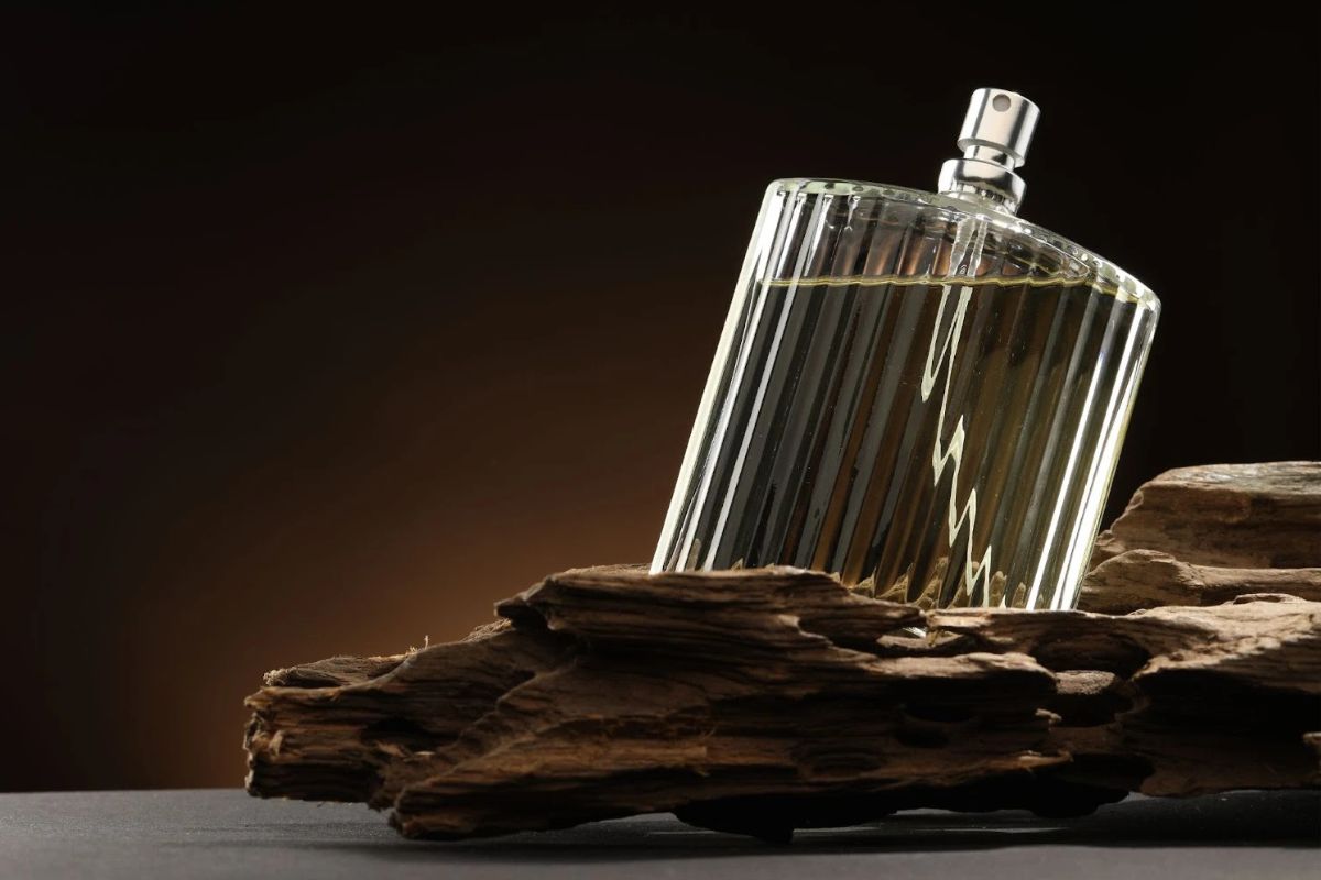 Уд, амбра та мускус: гайд із найдорожчих компонентів у світі парфумерії