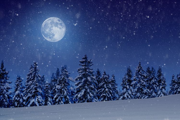 Вовча повня 2026