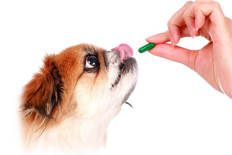 ветпрепарати